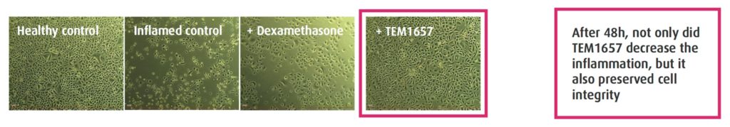 In vitro psoriasis ETAP-Lab TEM1657
