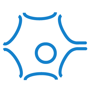Custom icon