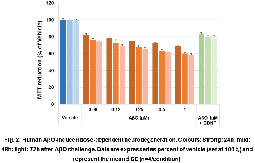 Human AβO-induced dose-dependent neurodegeneration. Colours: Strong: 24h; mild: 48h; light: 72h after AβO challenge. Data are expressed as percent of vehicle