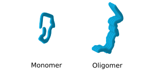 oligomers formation - conformation change 