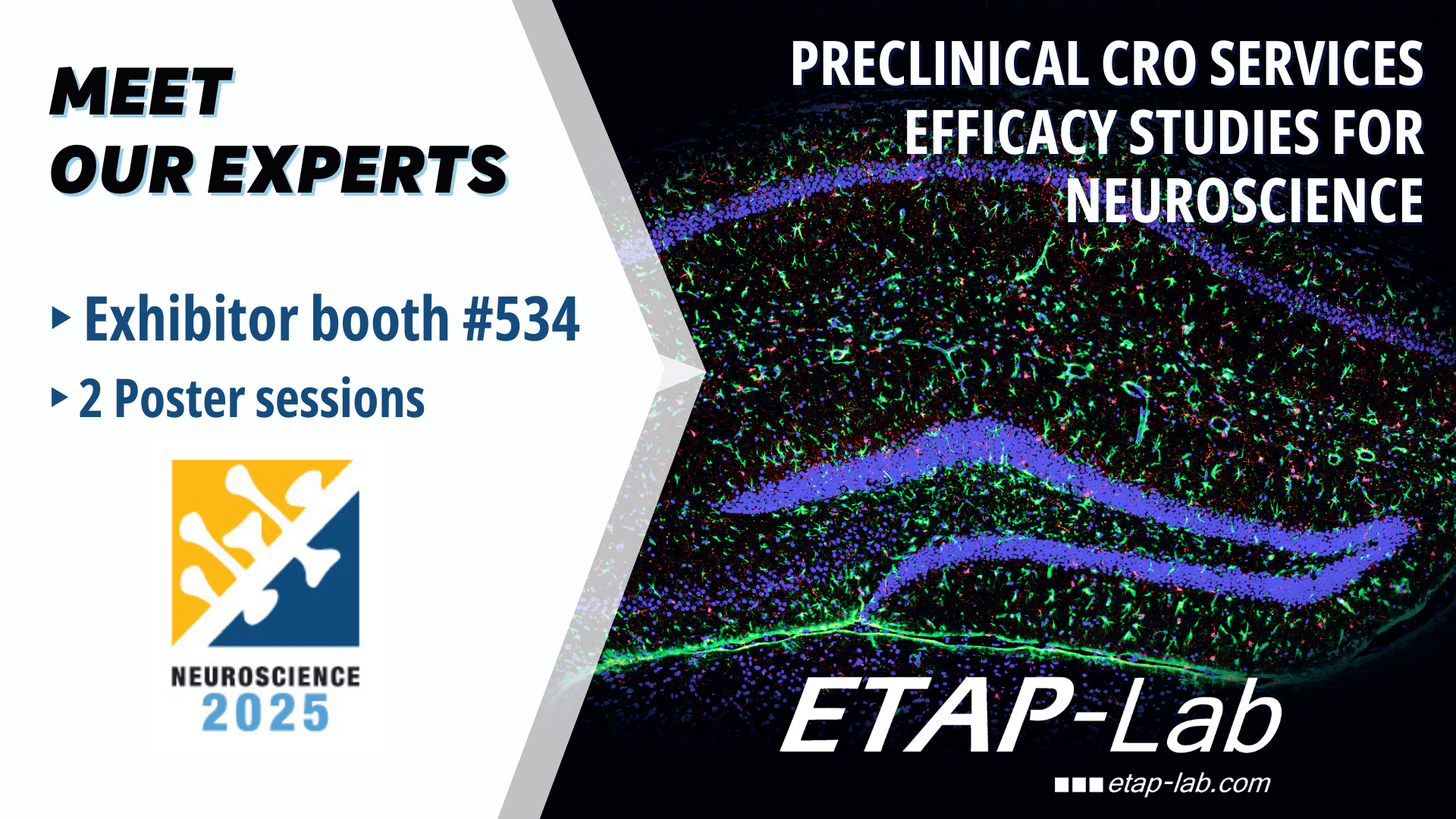 SfN NEUROSCIENCE 2025 – Empower your drug candidates with our translational preclinical models