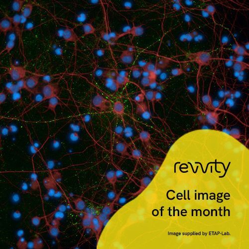First fluorescence friday - the word of our expert