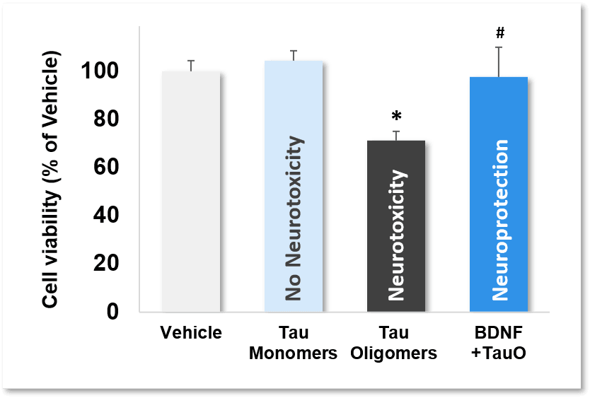 Our tau oligomer toxicity – a new tool for drug screening – graph tauo