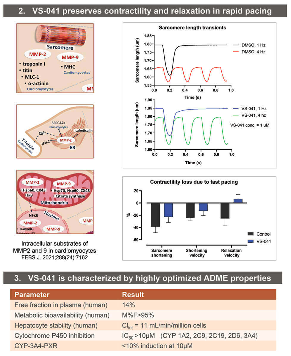 VS-041 preserves contractility and relaxation in rapid pacing