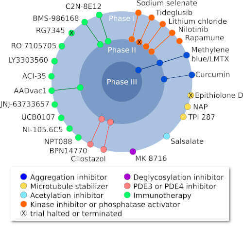 Figure 1: Current clinical trials targeting tau (Adapted from Congdon and Sirgudsson, 2018)