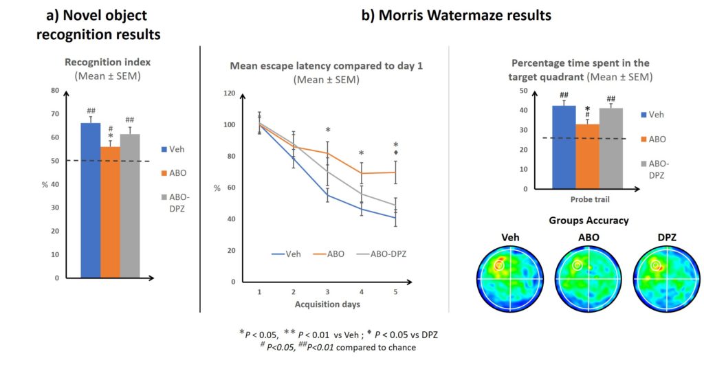 Behavioural results Donepezil inof Model Beta Amyloid Oligomers - in vivo - watermaze and novel object recognition