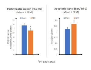 Figure 1: Graphical representation of PSD-95 expression and Bax/Bcl-2 ratio in the hippocampus, 18 days after AβO administration.