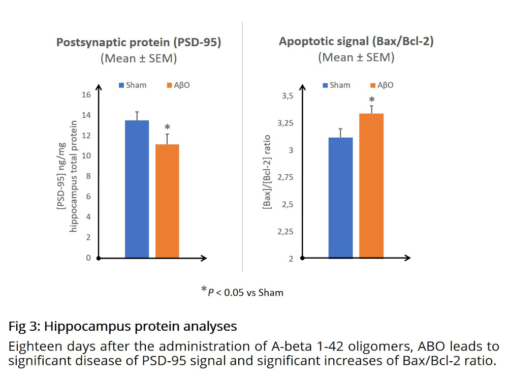 Eighteen days after the administration of A-beta 1-42 oligomers, ABO leads to significant disease of PSD-95 signal and significant increases of Bax/Bcl-2 ratio.