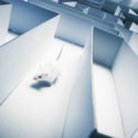 Mouse inside a labyrinth wih dramatic lighting mouse running inside a maze