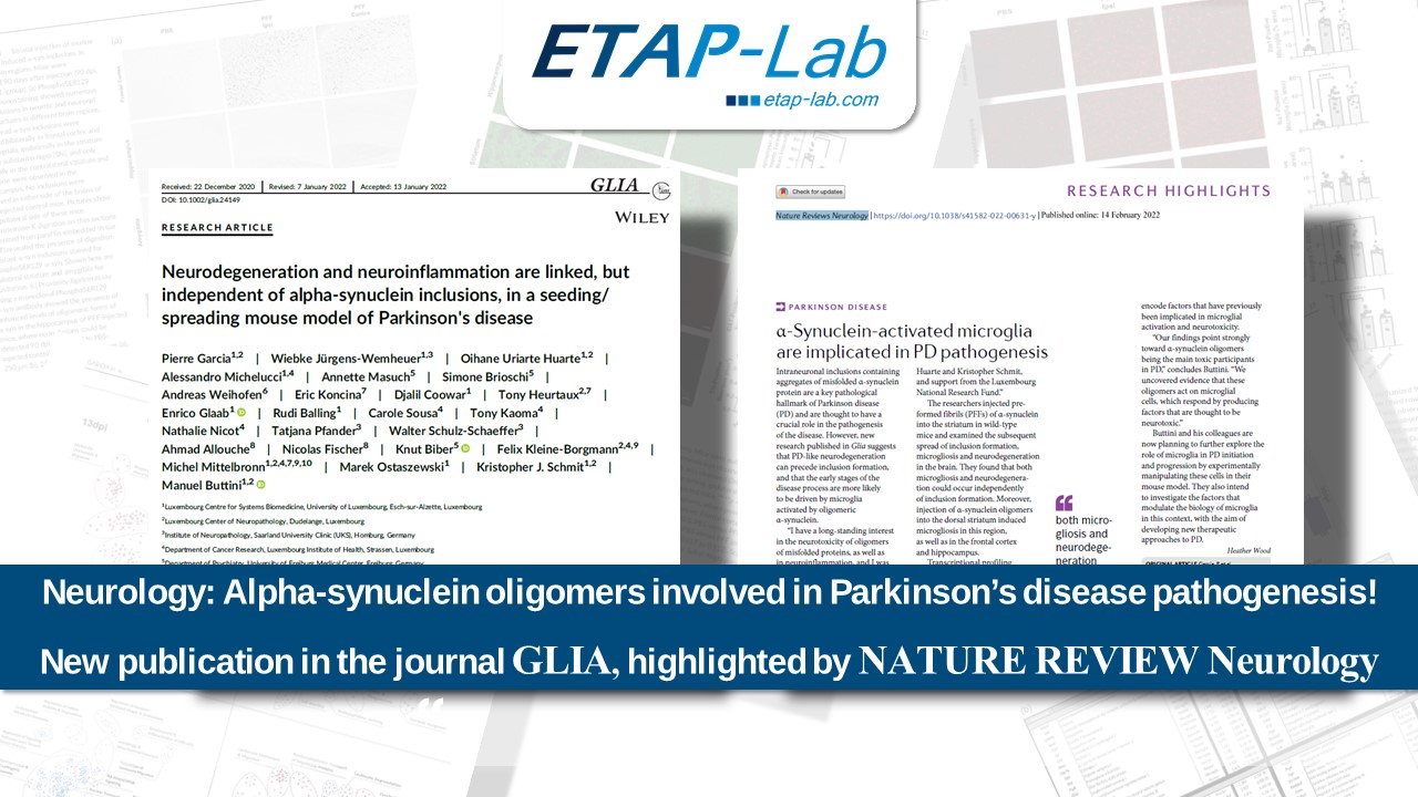 Neurology: Alpha-synuclein oligomers involved in Parkinson’s disease pathogenesis! New publication in the journal GLIA, highlighted by NATURE REVIEW Neurology