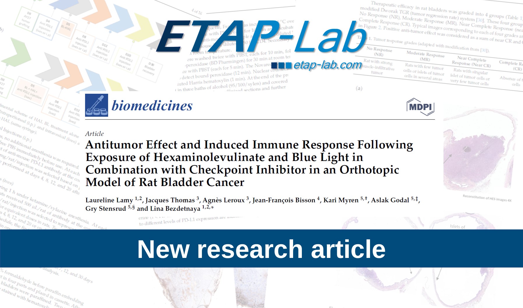 Bladder Cancer and phototherapy