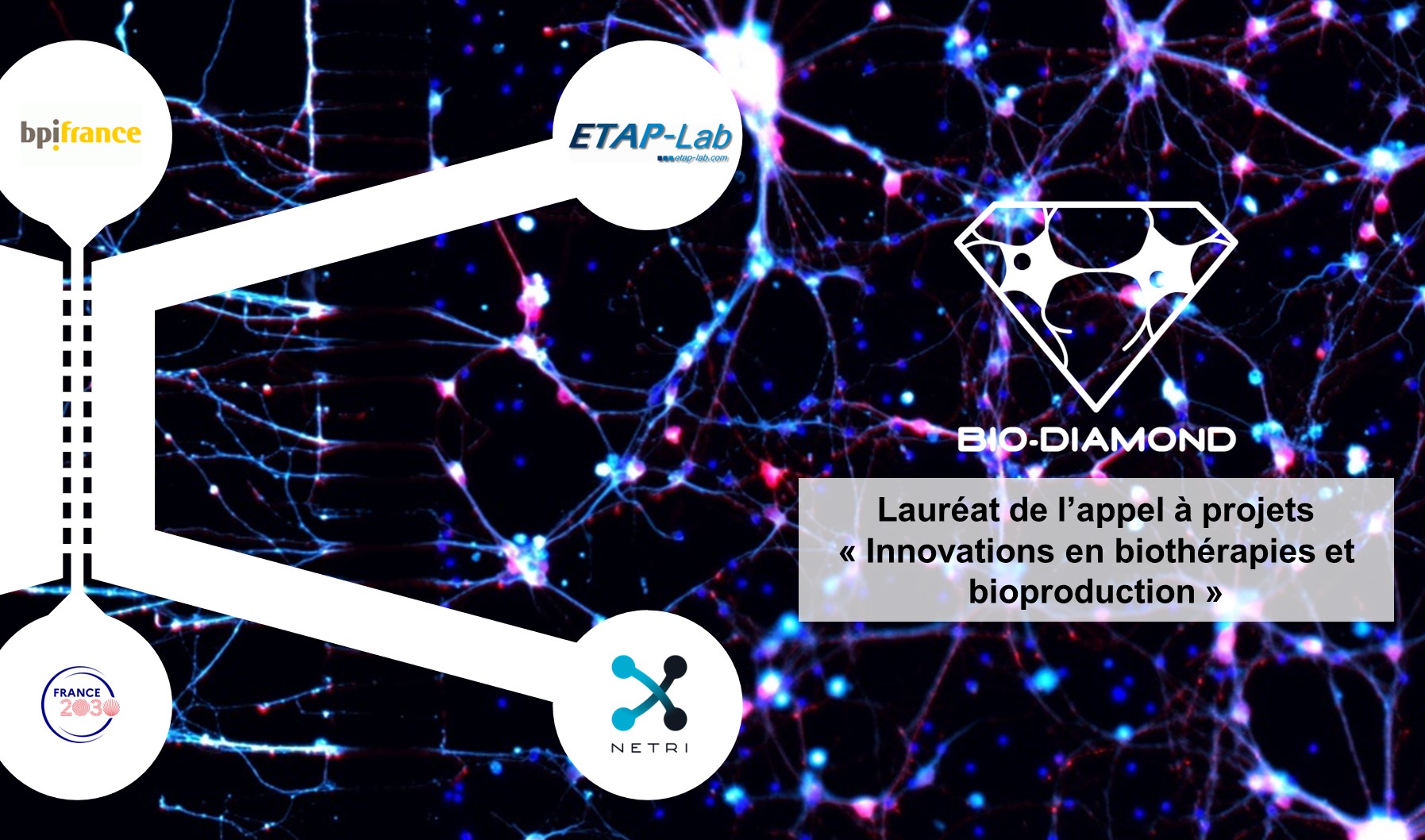 ETAP-Lab et Netri - BIO-DIAMOND