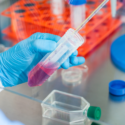 in vitro phamacology in vitro phamacology