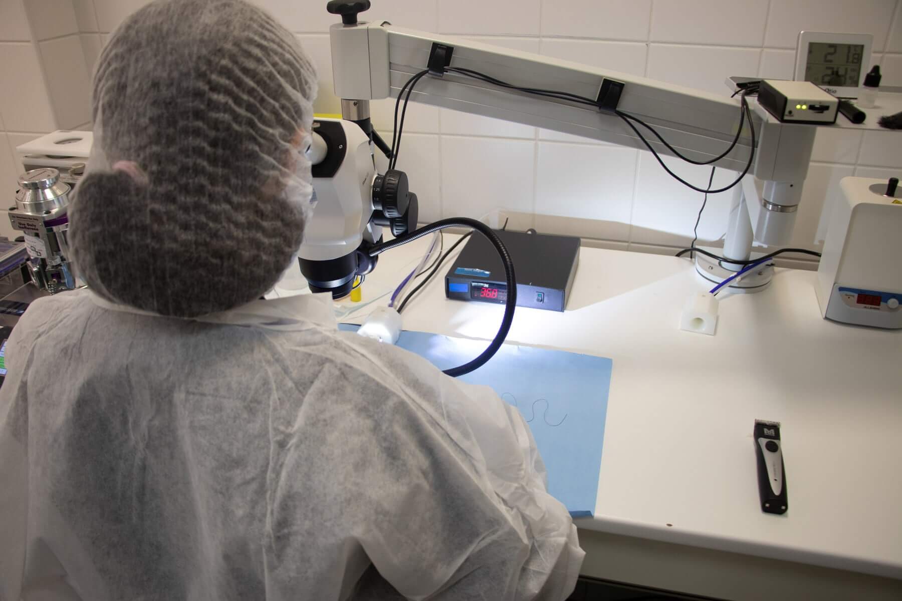 Historique – etl en expertise