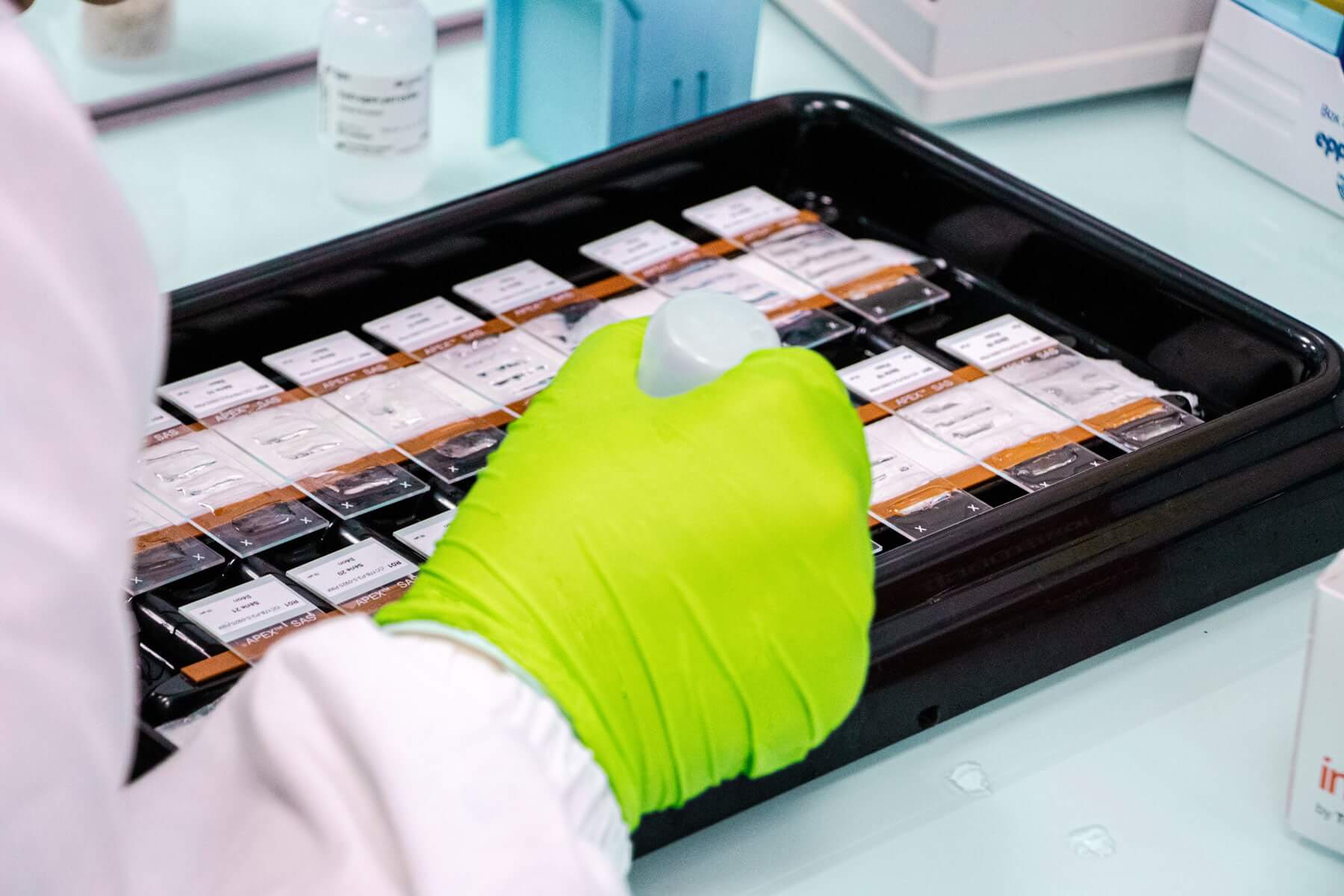 Commitments – etl tr lab exigence qualite