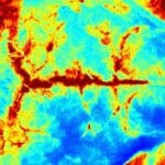 invivo-speckle-stroke imaging