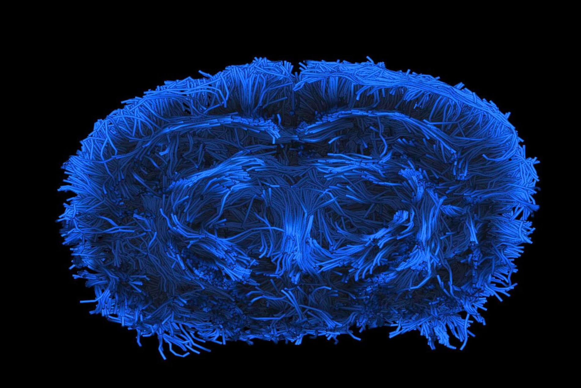 Our services – stk header main scaled