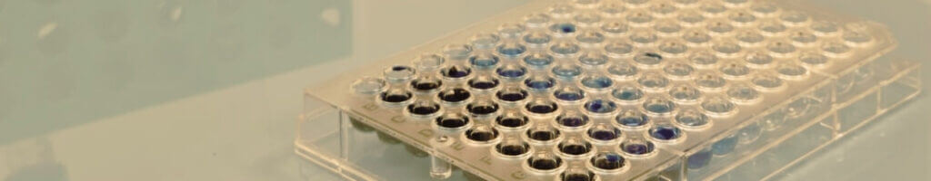 in vitro orange cardiology