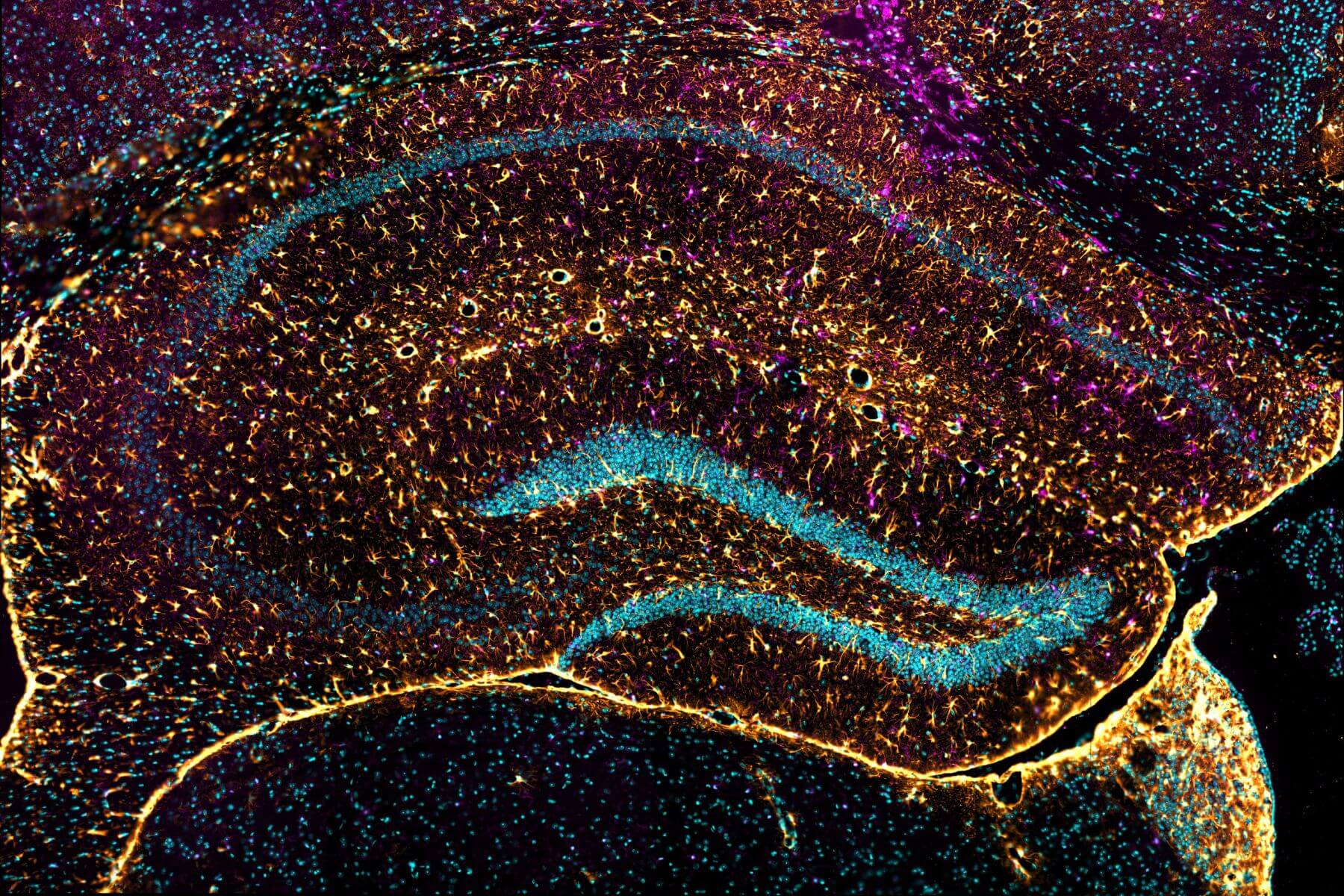 Company – lentreprise fluo expertise services