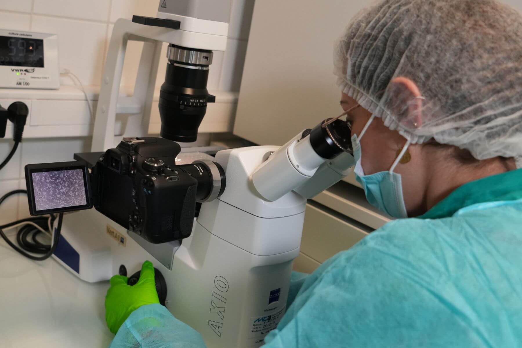 technician working at in vitro culture lab on microscopy