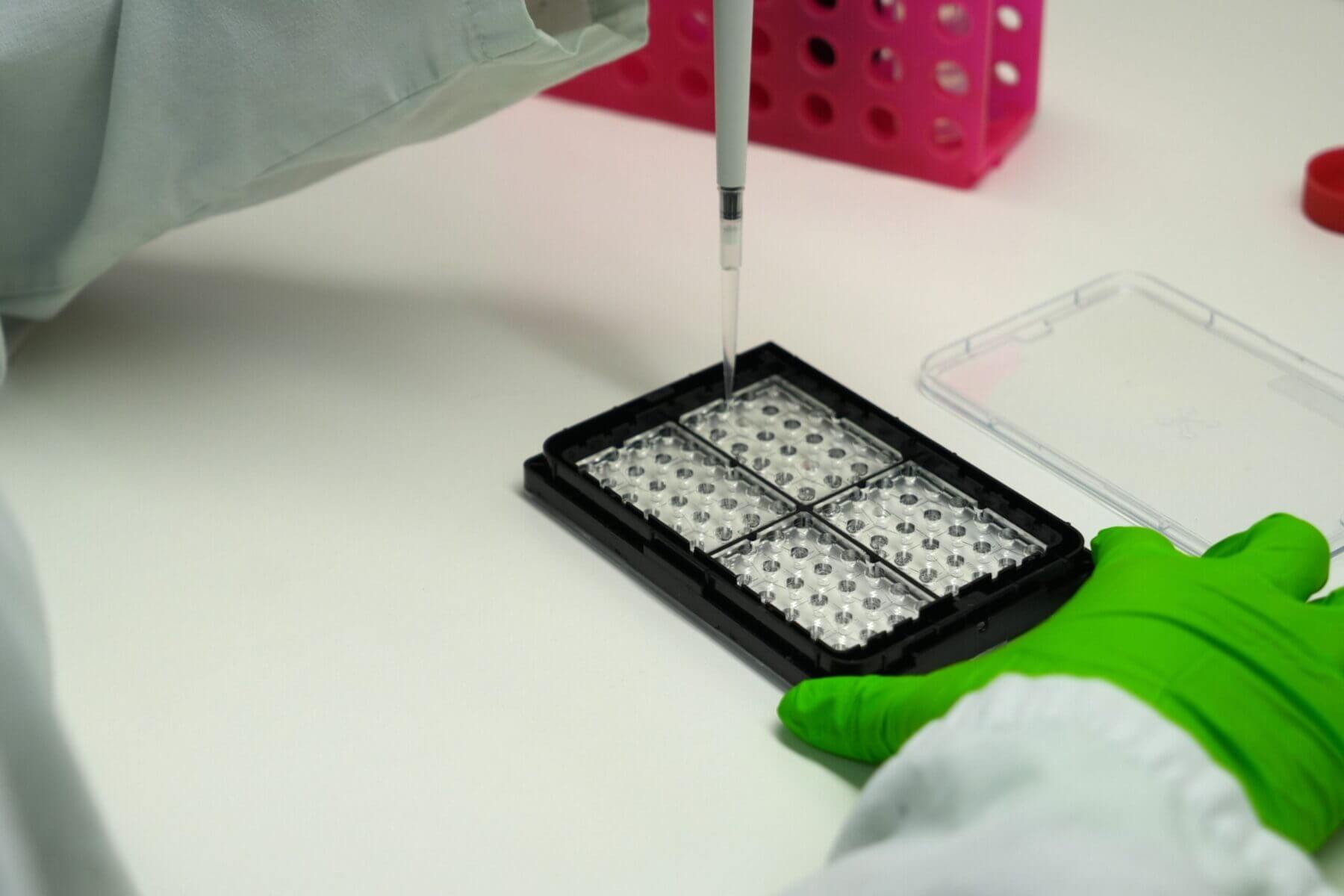 people working at in Vitrolab with Microfluidic Platform brain on chips