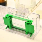 Western blot platform with agregate interaction