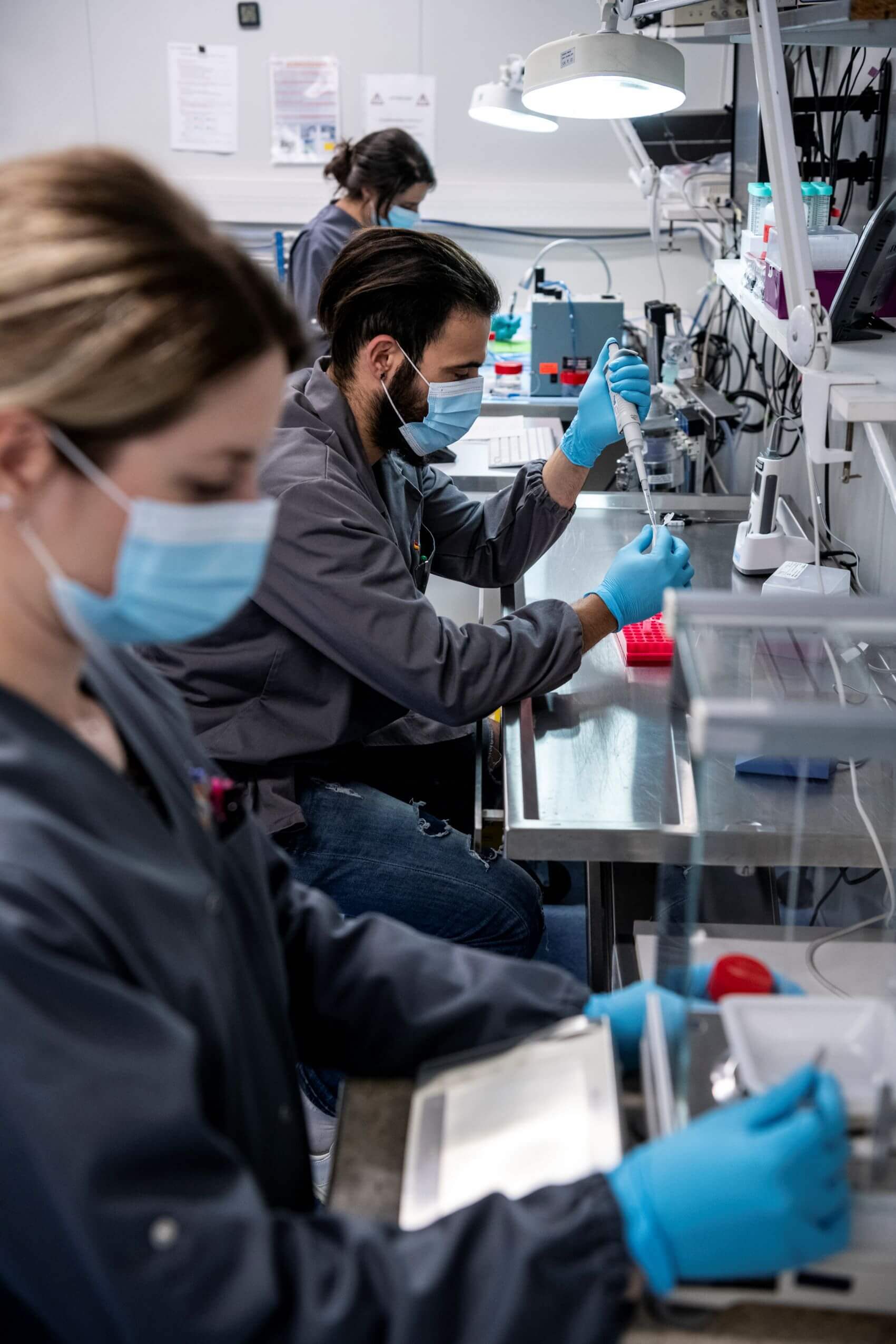 Cardiovascular – plateforme vivo animalerie photo