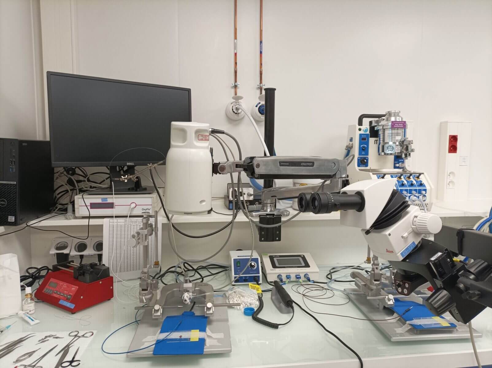 stereotaxy and microsurgery station