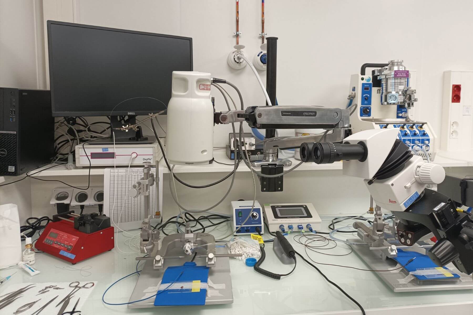 stereotaxy and microsurgery station