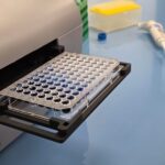 in vitro analysis on