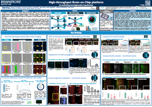illustration-Poster-BrainOnChip-HCS-BRAINXPLORE-Neuroscience-SfN-2025